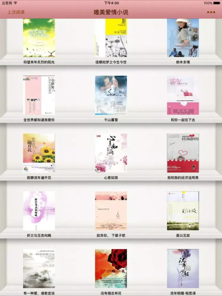 Tangkapan layar 唯美爱情小说 iPad 
