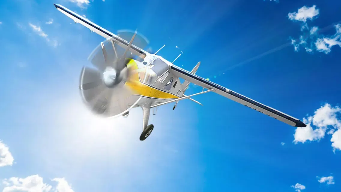 Airplane Flight-Simulator 3d スクリーンショット