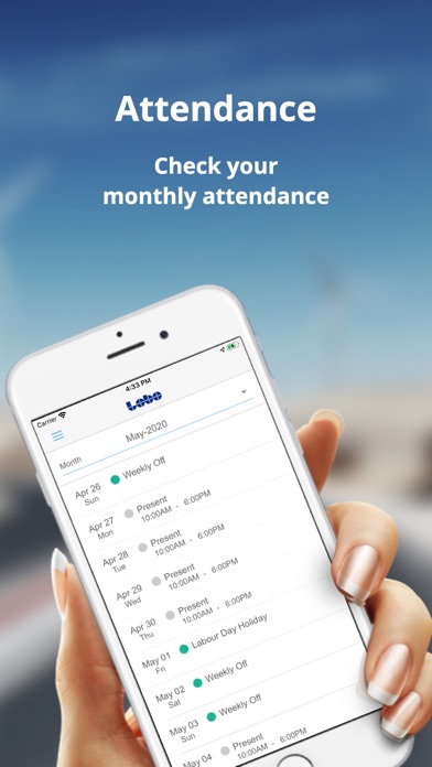 Lobo Staffing Solutions Ekran Görüntüleri