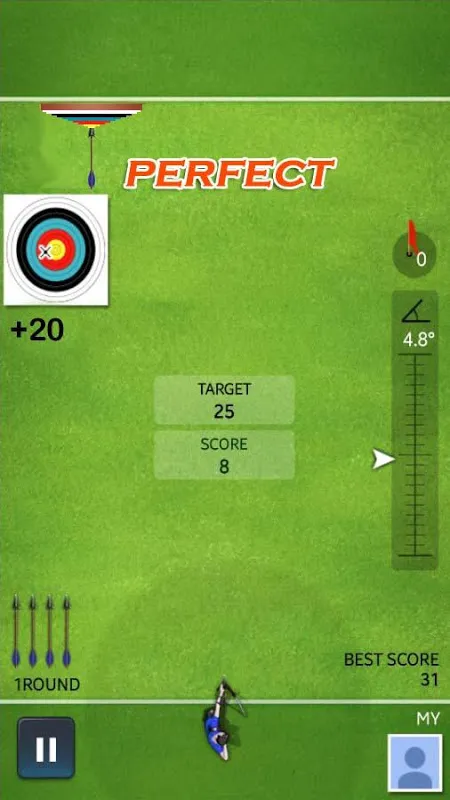 Ảnh chụp màn hình của Archery Ace