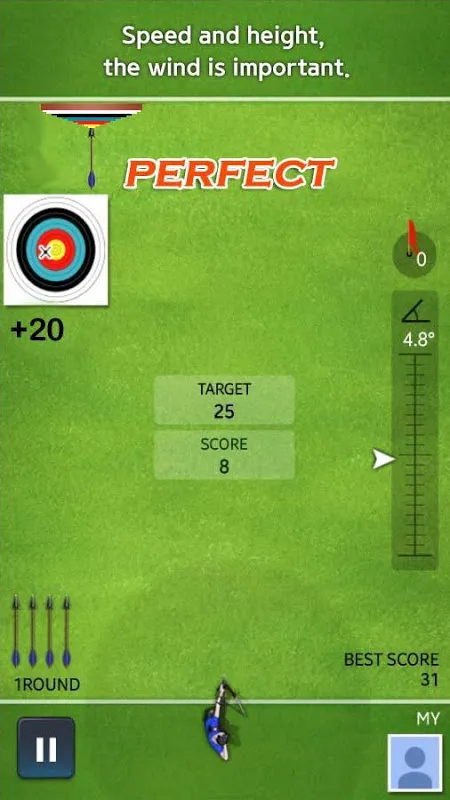 Ảnh chụp màn hình của Archery Ace