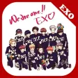 EXO Wallpapers HD - Kpop EXO "We Are One"