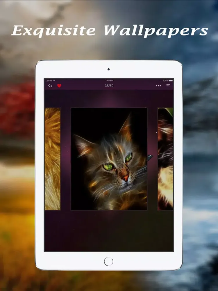 Wallpapers HD: Cute Pets and Animals iPad  Ekran Görüntüleri