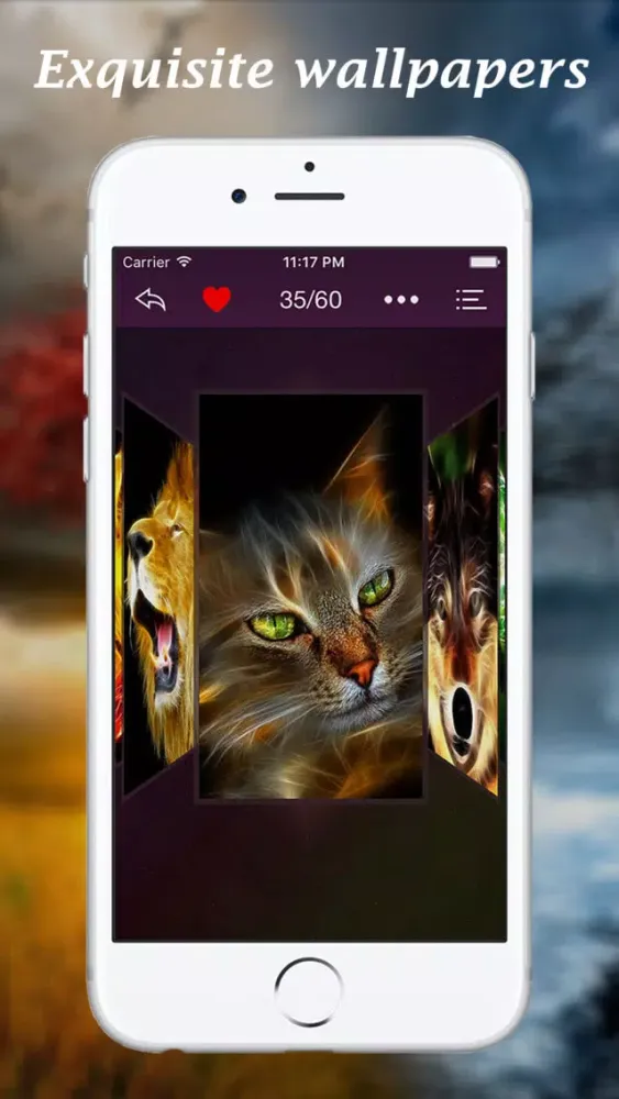 Wallpapers HD: Cute Pets and Animals Ekran Görüntüleri