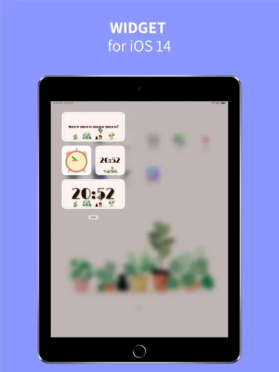 Theme Store: widget changer iPad  スクリーンショット