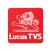 Lucas TVS Filter