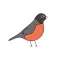 Robbie the Robin