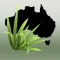 Environmental Weeds Australia