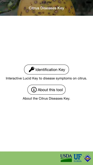 Citrus Diseases Key Screenshots