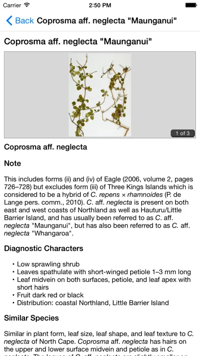 صور NZ Coprosma Key