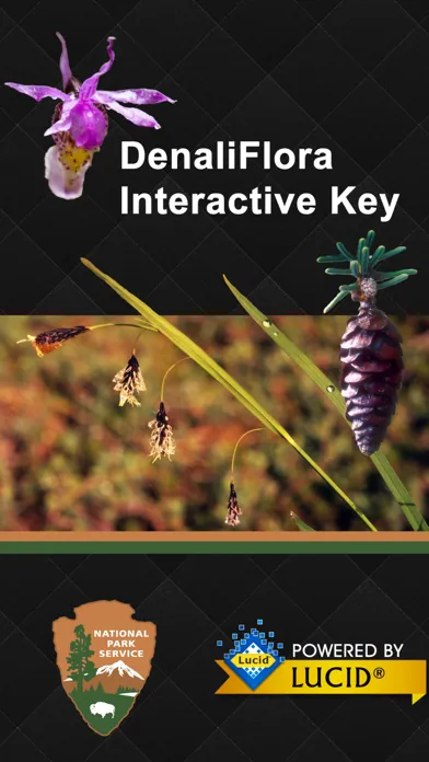 DenaliFlora Interactive Key Ekran Görüntüleri