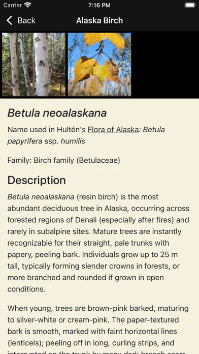 DenaliFlora Interactive Key Ekran Görüntüleri