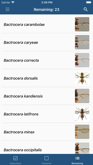 تصاویر Key important fruit flies EU