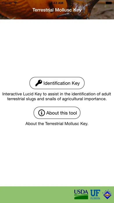 Terrestrial Mollusc Key应用截图