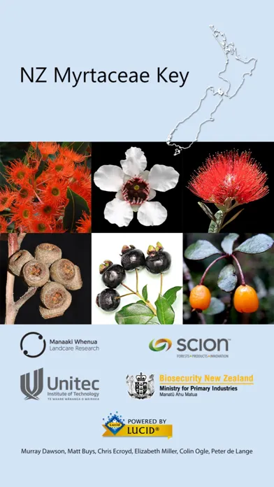 Ảnh chụp màn hình của NZ Myrtaceae Key