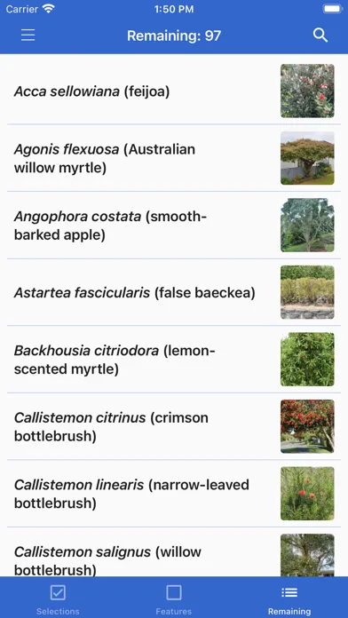 Ảnh chụp màn hình của NZ Myrtaceae Key