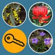 Plants of South Eastern NSW