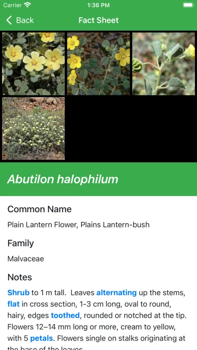Capturas de pantalla de Plants Fungi South Western NSW