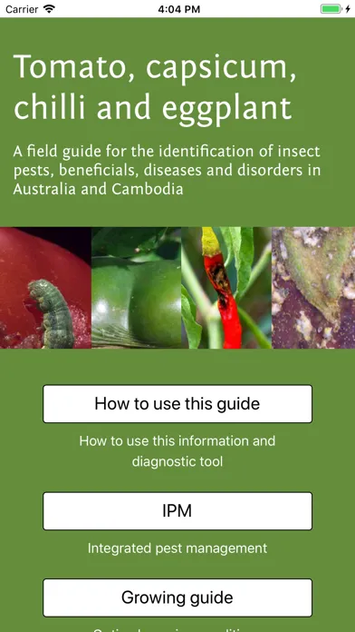Tangkapan layar Solanaceae Fruit Field Guide