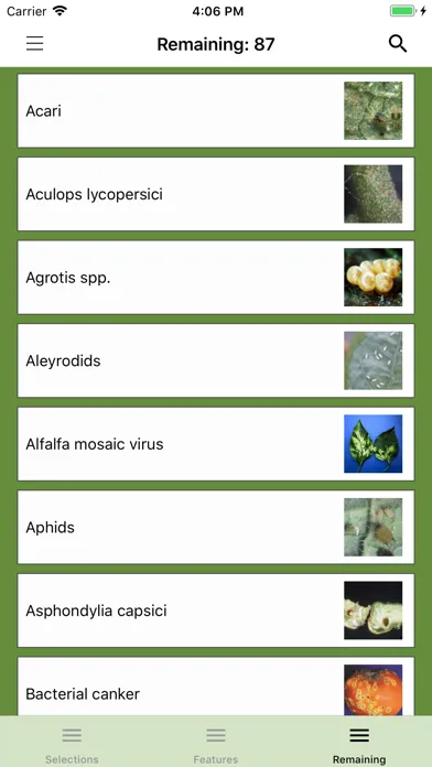 Tangkapan layar Solanaceae Fruit Field Guide