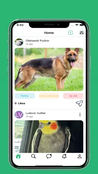 Tails, Beaks and Feets Screenshots