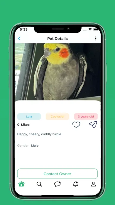 Tails, Beaks and Feets Screenshots