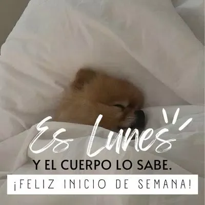 Capturas de pantalla de Buenos Días Bendiciones