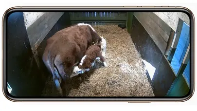 Zrzuty ekranu farmCam