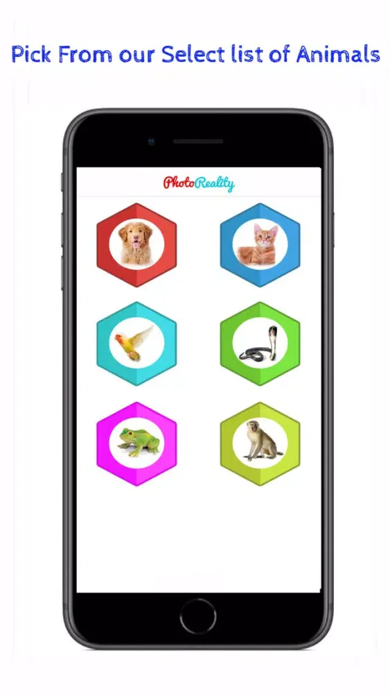 Pet Reality 스크린샷