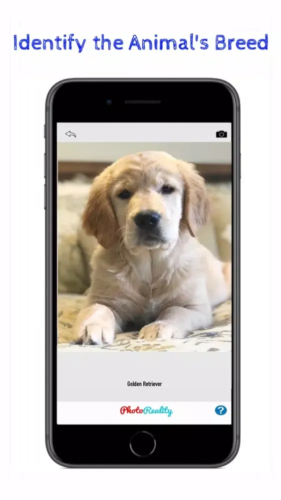 Pet Reality 스크린샷
