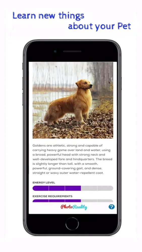 Pet Reality 스크린샷