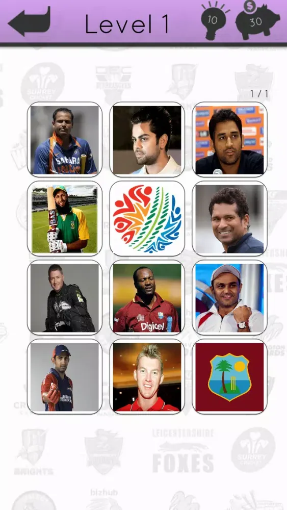 Cricket Icon Quiz Screenshots