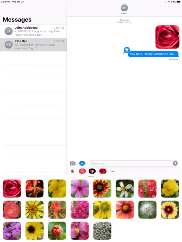 تصاویر Flower Real iPad 