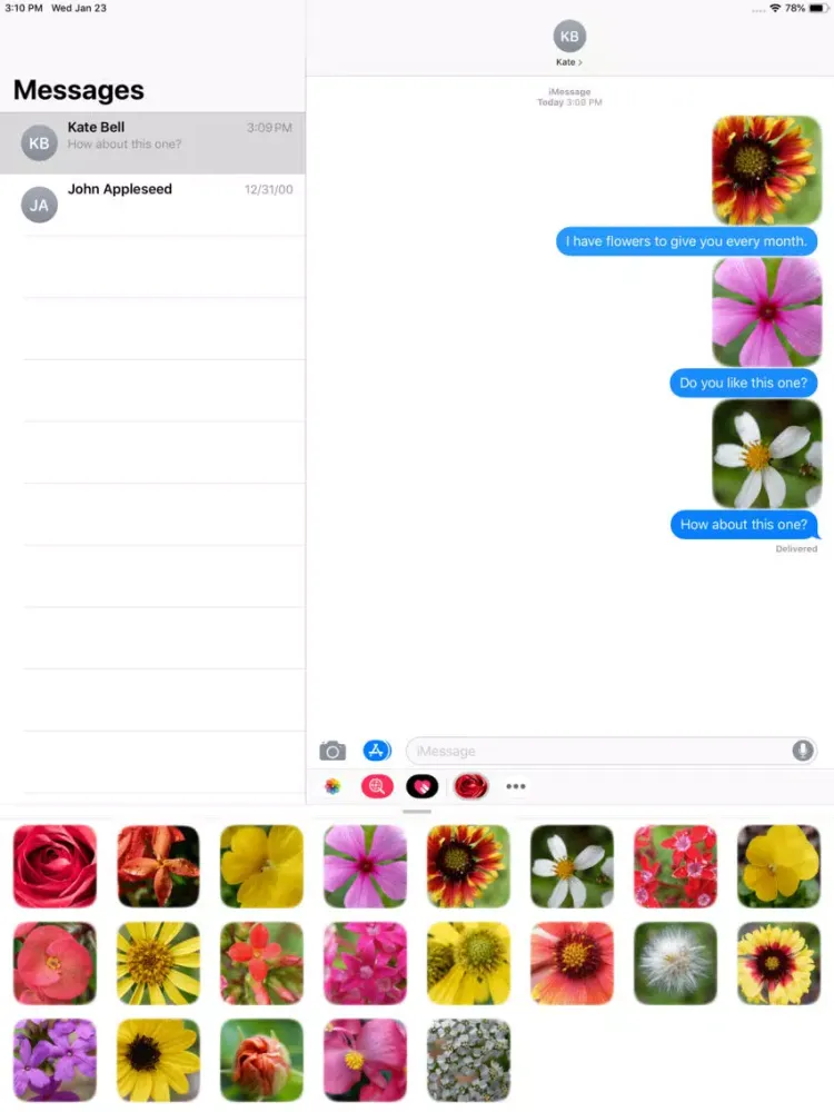 تصاویر Flower Real iPad 