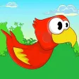 Parrot Noah the Flappy Fool - Extra Stupid Humming Bird in the African Rainforest Getaway