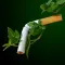 Smokend