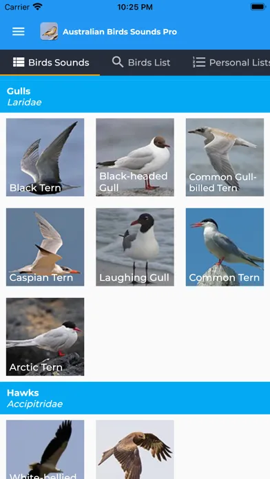 Скриншоты Australian Birds Sounds Pro
