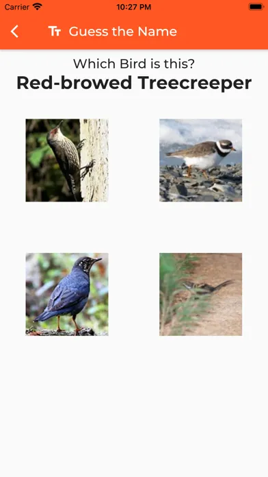 Скриншоты Australian Birds Sounds Pro