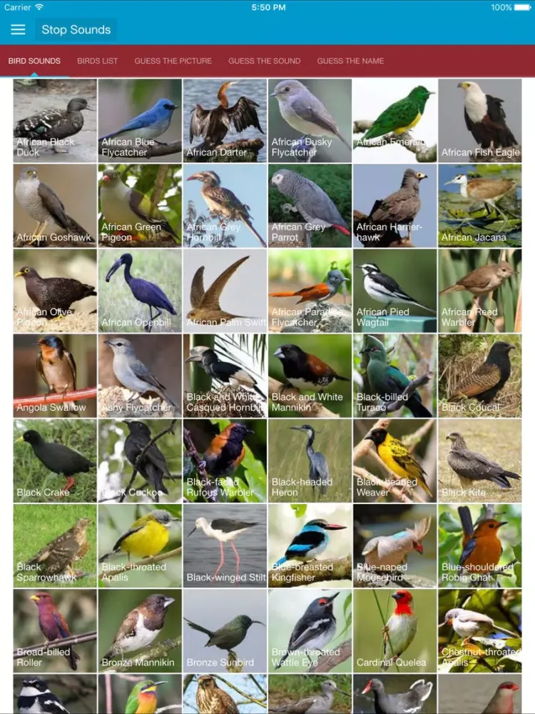 Zrzuty ekranu African Birds and Sounds iPad 