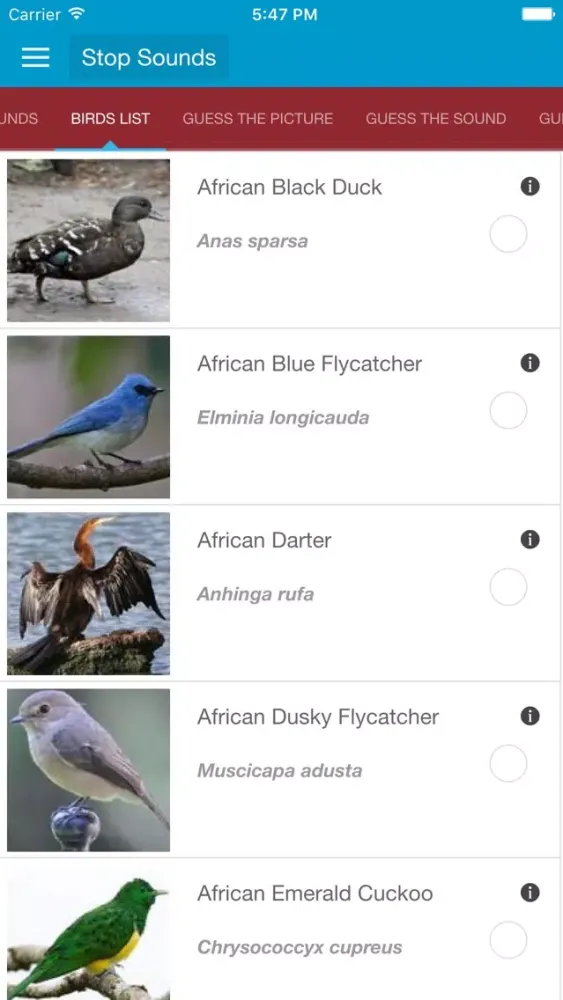 Zrzuty ekranu African Birds and Sounds