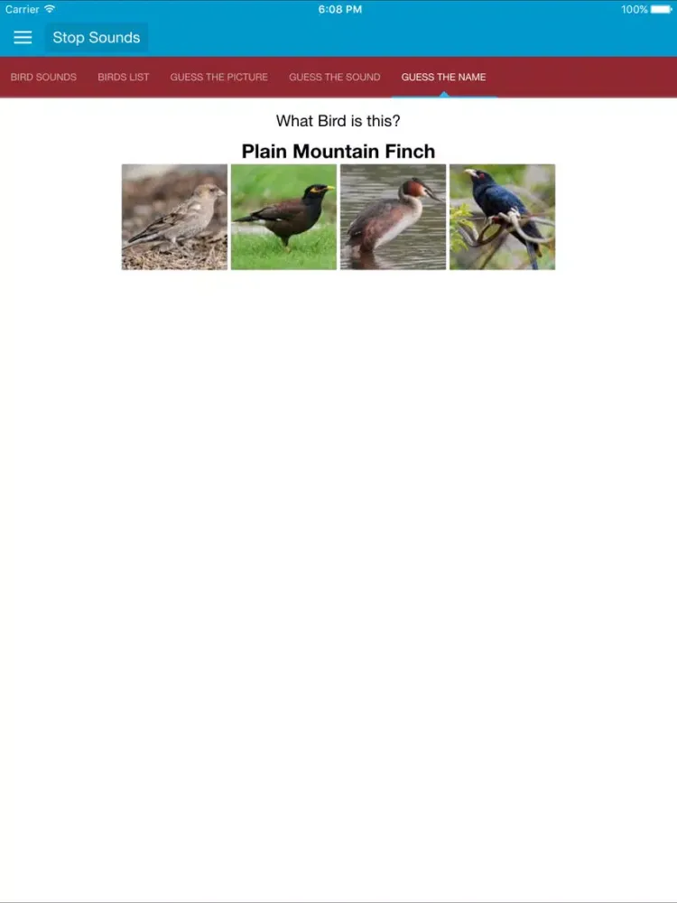 Asian Birds Sounds iPad  স্ক্রিনশট