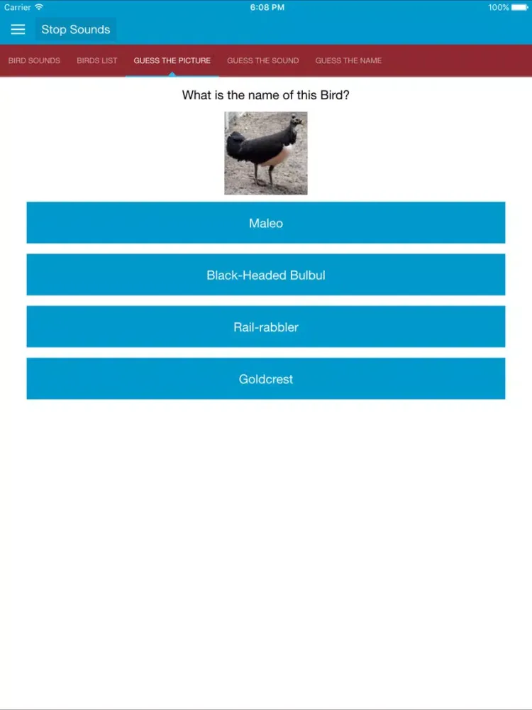 Asian Birds Sounds iPad  স্ক্রিনশট