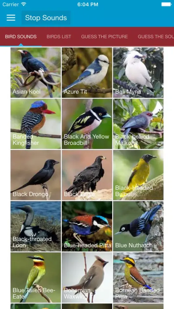 Asian Birds Sounds স্ক্রিনশট