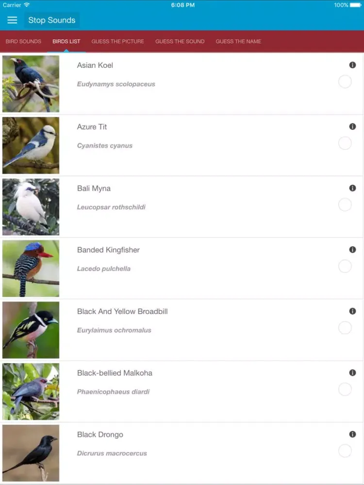 Asian Birds Sounds No Ads iPad 应用截图