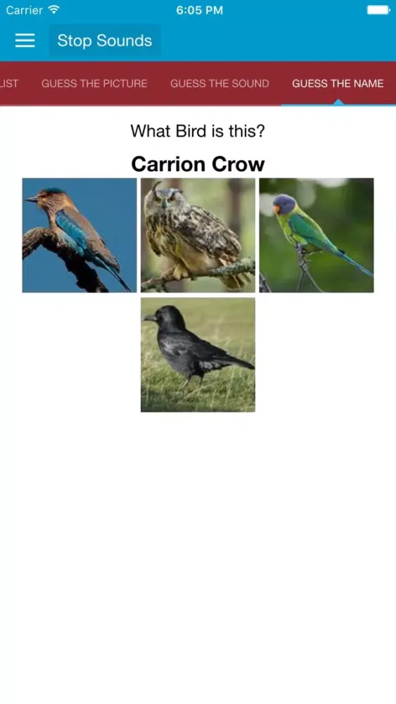 Asian Birds Sounds No Ads应用截图