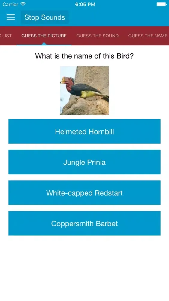 Asian Birds Sounds No Ads应用截图