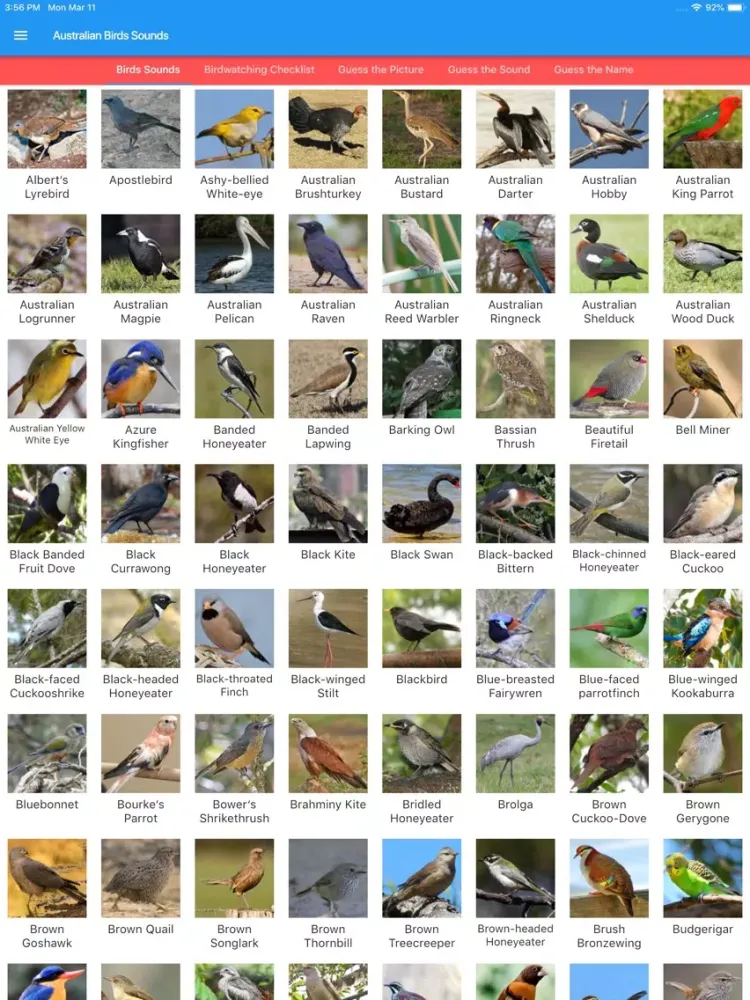 Ảnh chụp màn hình của Australian Birds Sounds iPad 
