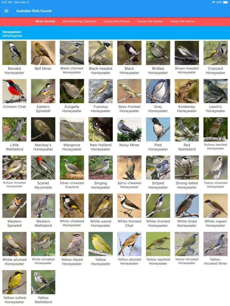 Ảnh chụp màn hình của Australian Birds Sounds iPad 