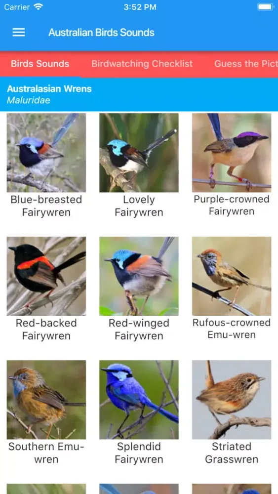 Ảnh chụp màn hình của Australian Birds Sounds