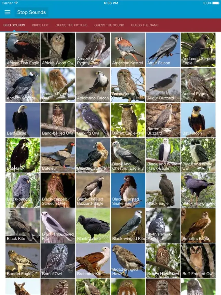 تصاویر Birds of Prey and Sounds iPad 